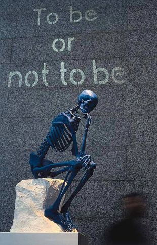 Galicia &eacute; biling&uuml;e