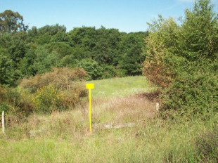 A empresa encargada, Ecoespacio, asegura que os herbicidas empregados son de toxicidade m&iacute;nima (Fotos: Matar por matar NON)