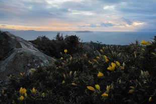 Vista das Illas Atl&aacute;nticas