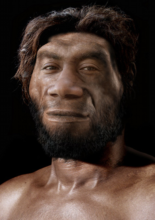 Reconstruci&oacute;n do pos&iacute;bel aspecto dun Homo erectus