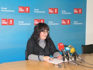 O PSdeG di que se aniquilan as pol&iacute;ticas de Igualdade do bipartito e mesmo da era Fraga