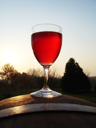 Durante o curso cataranse vi&ntilde;os das cinco DO galegas. Flickr: Plavi