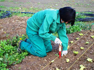 Segundo a CIG, os traballadores deber&iacute;an cobrar 540 euros anuais m&aacute;is para non perder o seu poder adquisitivo