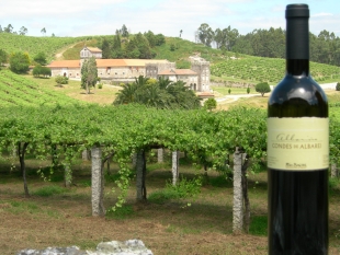 A cooperativa Condes de Albarei f&iacute;xose co Pazo de Bai&oacute;n por 15 mill&oacute;ns de euros