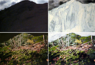 Imaxe de Recolectas (Galer&iacute;a c5 Colecci&oacute;n, Santiago de Compostela)