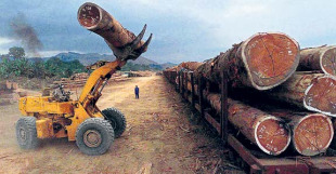 A este proxecto destinaranse m&aacute;is de dous mill&oacute;ns de euros