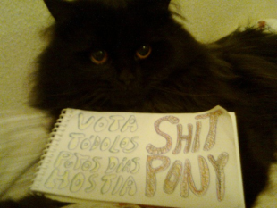 Frankie, o gato da banda, tam&eacute;n votou o 'Dagon' de Shit Pony