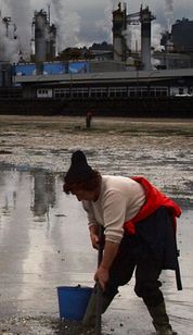 A R&iacute;a de Pontevedr&aacute; &eacute; unha das afectadas / Flickr Manuel B&oacute;o