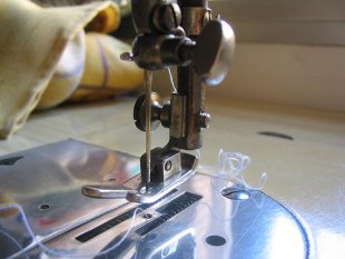 Flickr: Ping&uuml;ino