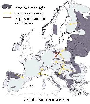 Distribuci&oacute;n do lobo en Europa