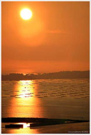 Bateas en Vilagarc&iacute;a