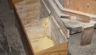 O mu&iacute;&ntilde;o traballando con millo