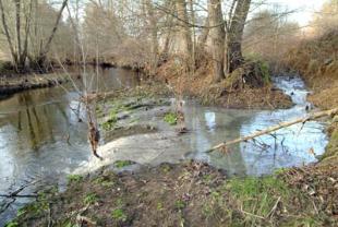 Verquidos no r&iacute;o B&uacute;bal (Monterrei). Fonte: Amigos da Terra