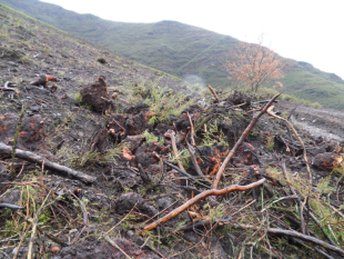 "Estase facendo xusto o contrario do que se pretende cos fondos de rexeneraci&oacute;n", di SOS Courel