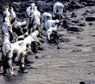 A tese tam&eacute;n concl&uacute;e que os ecosistemas que resultaron danados a&iacute;nda non acadaran condici&oacute;ns saud&aacute;beis en 2006