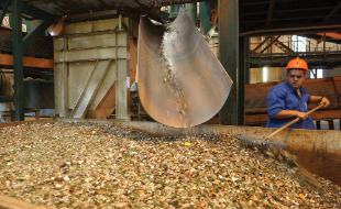 Galiza xera arredor de 1,2 mill&oacute;ns de toneladas de res&iacute;duos ao ano