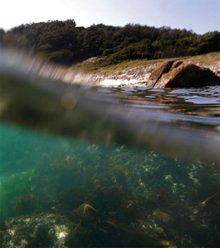 Imaxe do fondo das C&iacute;es na actualidade
