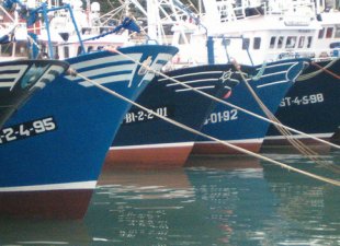 A flota permanecer&aacute; amarrada unha semana de xu&ntilde;o como protesta