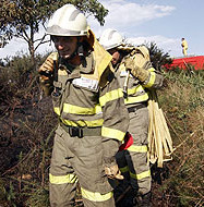 Na actualidade, Seaga s&oacute; ten a seis persoas en n&oacute;mina