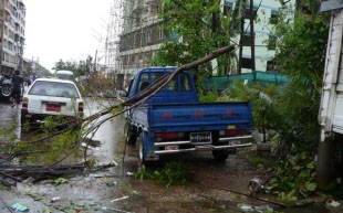 &Aacute;rbores ca&iacute;das no centro de Rang&uacute;n / Myat Thura