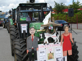 Os tractores comezaron a chegar este mediod&iacute;a ao mercado de gando de Amio, en Santiago / Imaxe: SLG