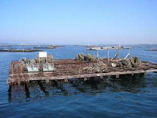 Batea de mexill&oacute;n