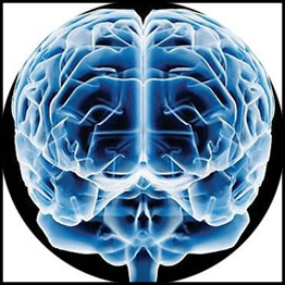 As innovaci&oacute;ns do ex&eacute;rcito pasan polo cerebro