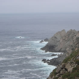 A boia cient&iacute;fica dar&aacute; informaci&oacute;n en tempo real