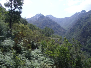 Adega exixe responsabilidades a todas as administraci&oacute;ns con capacidade de decisi&oacute;n sobre o Parque