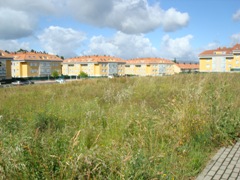 Imaxe do lugar onde estaba previsto constru&iacute;r o centro de d&iacute;a de Calo (Teo)