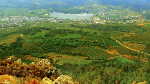 "Un universo en cada botella", &eacute; outro dos lemas usado pola Denominaci&oacute;n de Orixe de Valdeorras