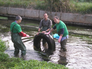 Recollendo un pnum&aacute;tico en Porri&ntilde;o