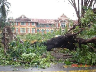 Efectos do cicl&oacute;n / Fear from freedom