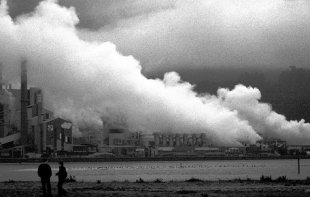 Complexo industrial ENCE - Elnosa en Louriz&aacute;n. Flickr: Surfercosmovision