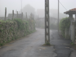 A estampa ga&ntilde;adora do concurso de Perlas Ponteareanas