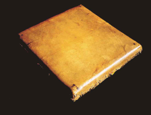 Un pandeiro hist&oacute;rico