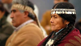 'L&uacute;a de xemas f&iacute;as' est&aacute; escrito en mapudung&uacute;n e traducido ao galego