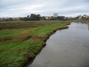 Xunqueira do Lagares, sitio previsto para a depuradora de Vigo/Foto: Asociaci&oacute;n Fonta&iacute;&ntilde;a