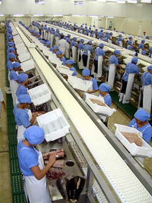 F&aacute;brica do Grupo Calvo en El Salvador