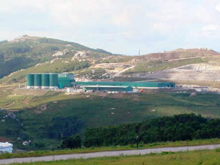 Planta de Nosti&aacute;n