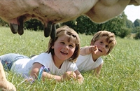 O futuro do sector &eacute; unha inc&oacute;gnita