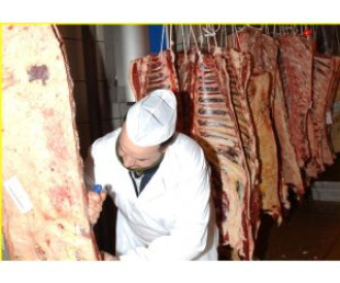 Os expertos cren que deben promocionarse os valores dos produtos ecol&oacute;xicos, m&aacute;is al&aacute; da s&uacute;a calidade