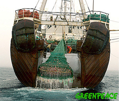 A pesca de arrastre arrasa os oc&eacute;anos e as especies