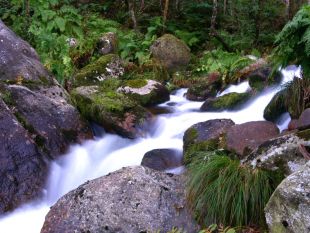 A Fervenza / Imaxe: Xos&eacute; Chao