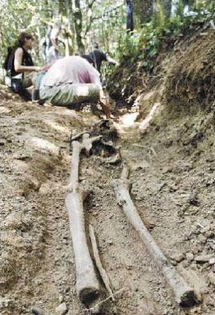 Fotograf&iacute;a tirada no Alto do Acebo, na Fonsagrada, onde desenterraron este ver&aacute;n unha foxa com&uacute;n no ver&aacute;n de 2007