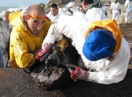 Calc&uacute;lase que unhas 400.000 persoas axudaron na limpeza das praias / Flickr: St&eacute;phane M. Grueso