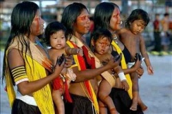 Os ind&iacute;xenas celebraron esta terza a decisi&oacute;n do Supremo Tribunal