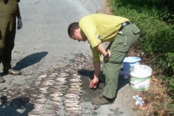 A Asociaci&oacute;n R&iacute;o Furelos recolleu numerosas troitas mortas