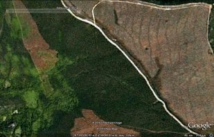 Na foto apr&eacute;zase a parcela alongada verde no medio das rozas de anos anteriores (clique para ampliar)