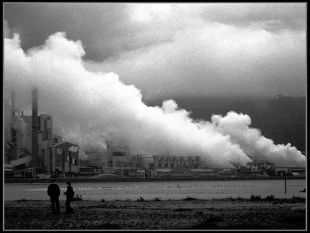 Imaxes de Ence, do Flickr / A primeira &eacute; de fonso  e a segunda e a terceira de surfercosmovision